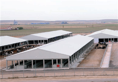  Hayvan Çiftliği - Tavuk Kümesi 3