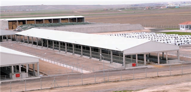  Hayvan Çiftliği - Tavuk Kümesi 4